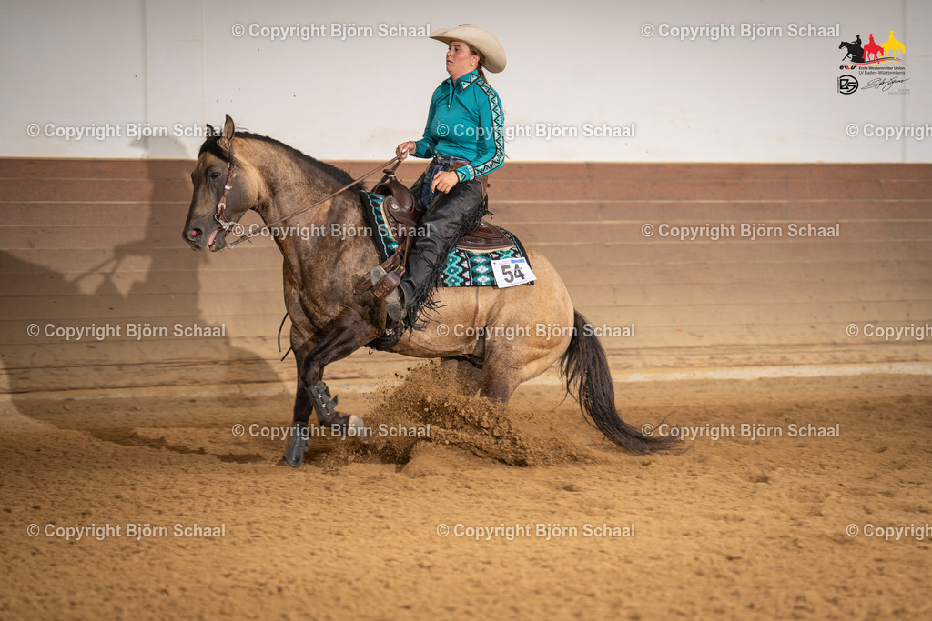 LMS06091 | BS-foto