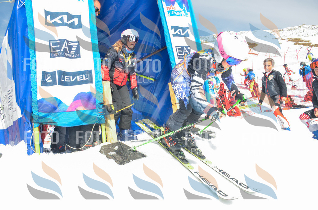 _ELE6317 | holidayphoto