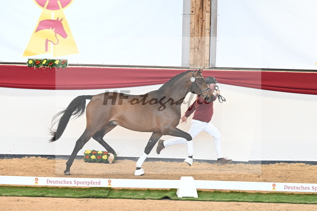 Kat.-Nr. 73 v. Va Bene_Kuntz_2240967 | hf-fotografie - Realisiert mit Pictrs.com