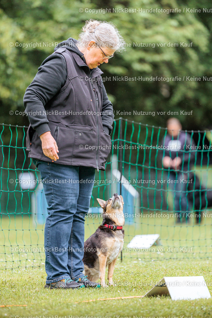 RO-Blumenthal-2026-Nickbest-Hundefotografie-4477 | Dein Hund! Dein Moment! Deine Erinnerungen! Hundefotografie in Bremen Blumenthal. Ich fange die besonderen Momente deines Vierbeiners ein – ob Indoor mit Blitzanlage oder in der freien Natur. Sicher dir dein Moment und dein Termin für eure Erinnerungen.