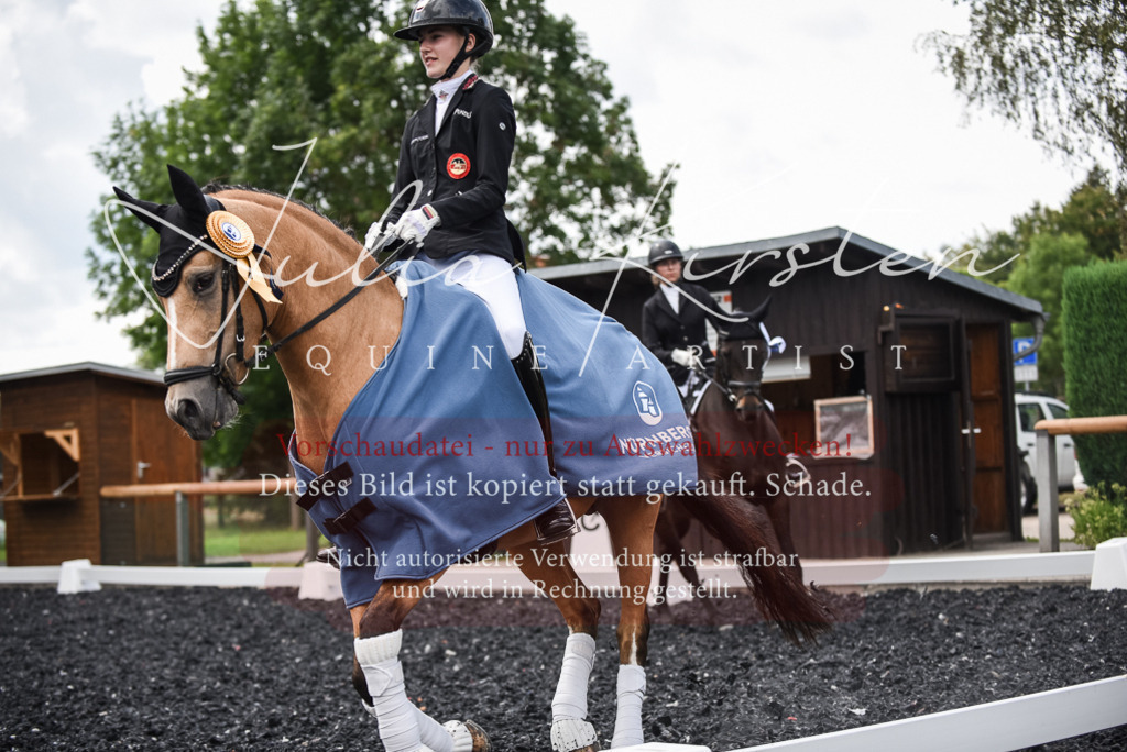 DSC_4738 | Pferde- und Turnierfotografie in Westsachsen. Pferdeportraits, Auftragszeichnungen und intuitive Kunst.