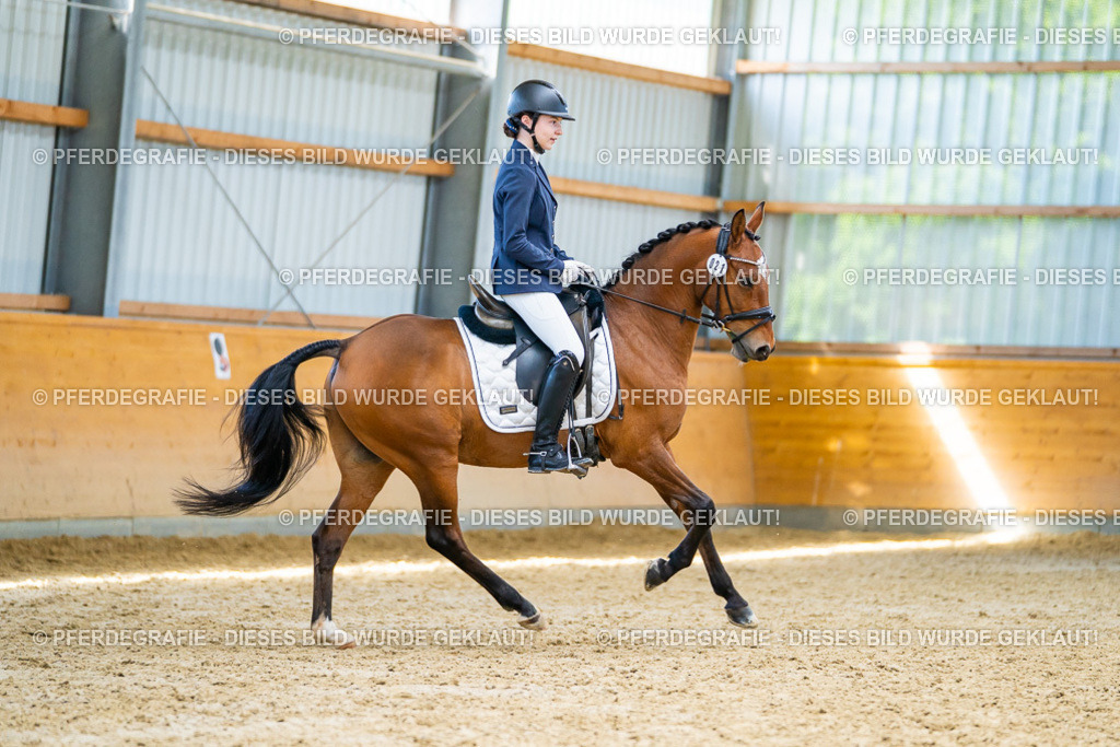 DSC08744 | Pferdegrafie