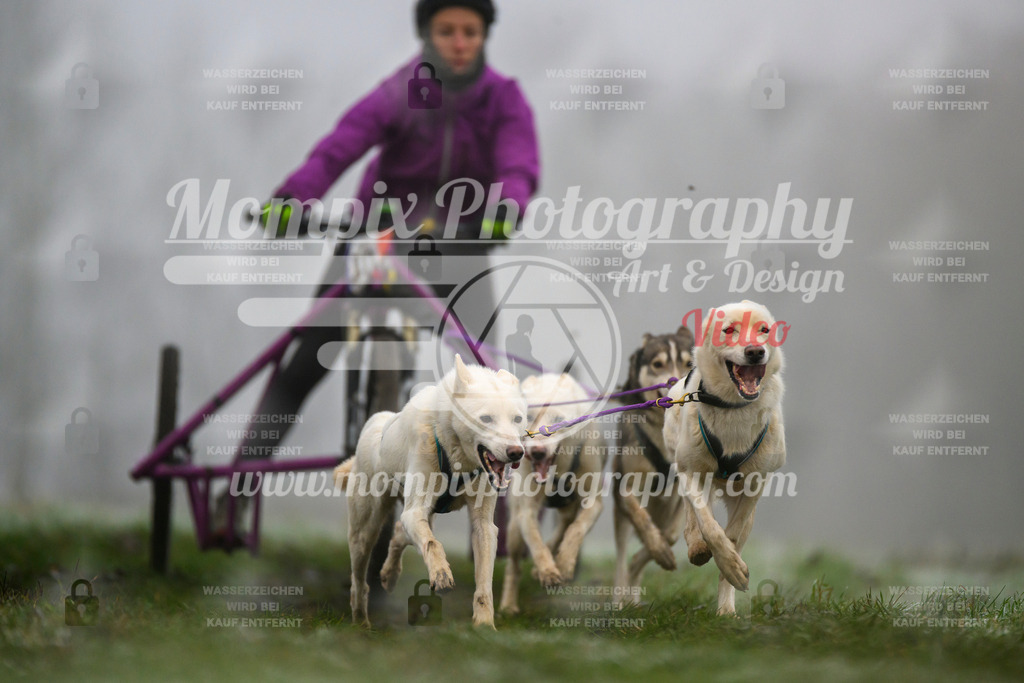 MompixPhotography_CDF2023_FFST_Di_Kart-30 | PayLife