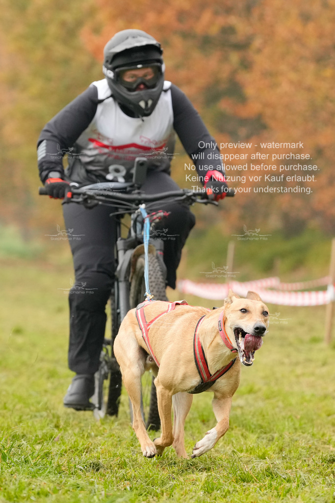 AusschnitteSa-148 | stephaniefillaphotographie - Realisiert mit Pictrs.com