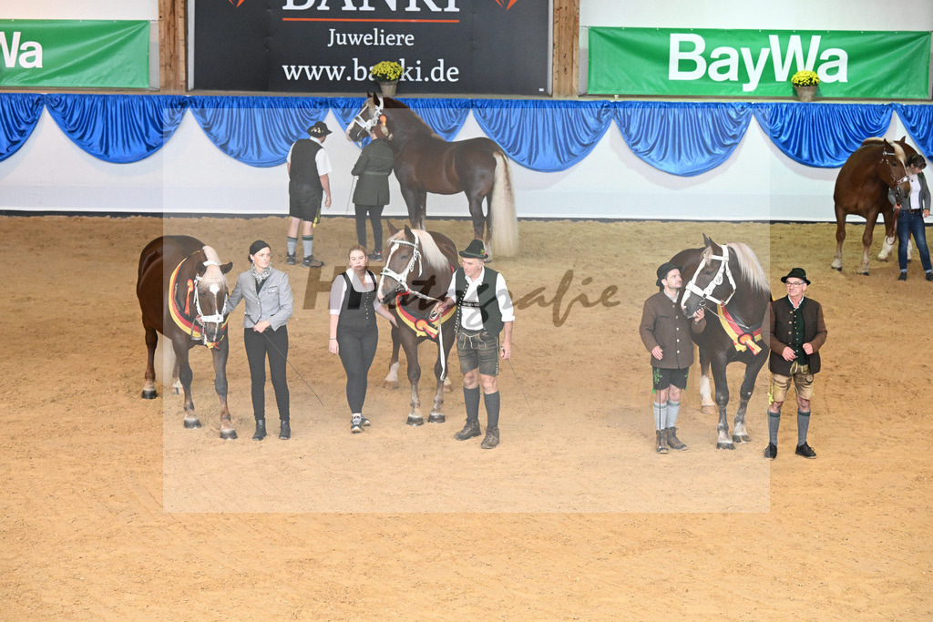 Siegerstuten_Bachmair_Buechl_Steinle_53222924 | hf-fotografie - Realisiert mit Pictrs.com