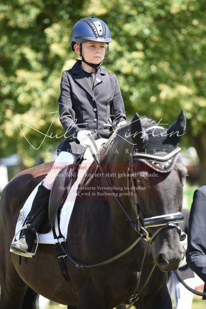 DSC_9746 | Pferde- und Turnierfotografie in Westsachsen. Pferdeportraits, Auftragszeichnungen und intuitive Kunst.