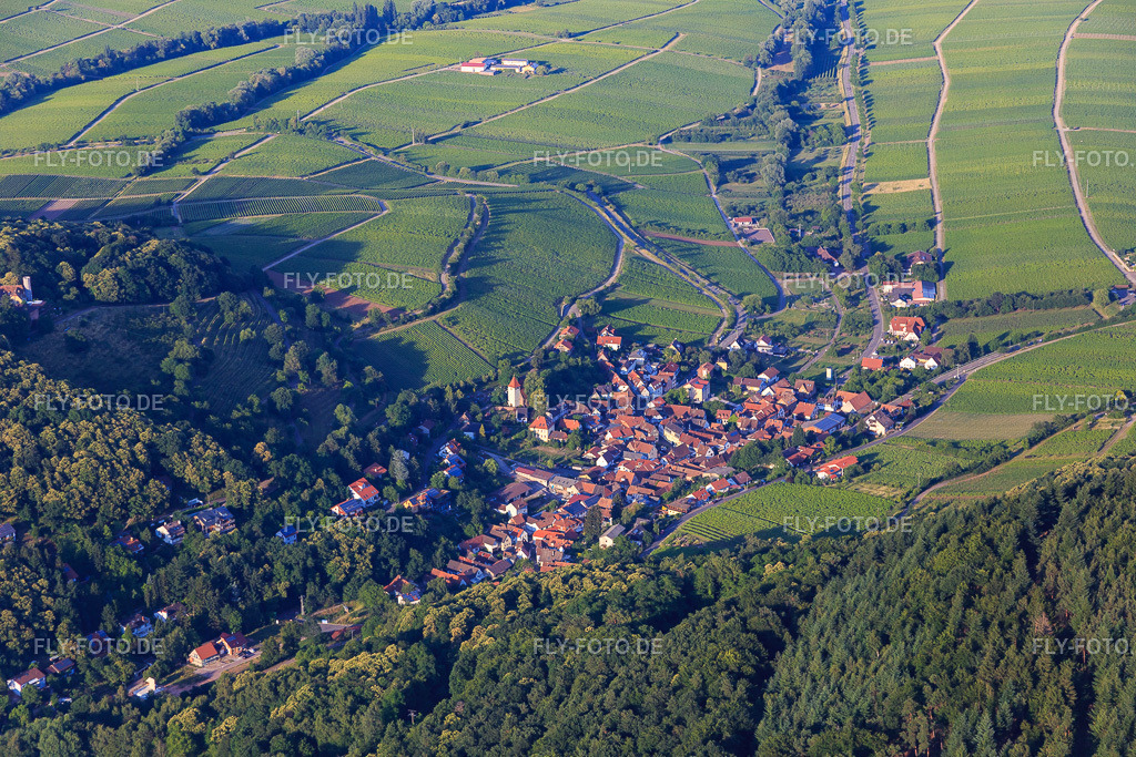 Dorfübersicht am Haardtrand aus Südwesten | Luftbild: Dorfübersicht am Haardtrand aus Südwesten in Leinsweiler im Bundesland Rheinland-Pfalz in Deutschland. Foto: IMG_082654.jpg vom 25.06.2015 durch Werner Riehm/FLY-FOTO.de - Realisiert mit Pictrs.com