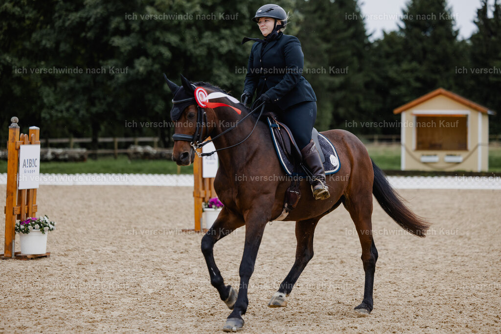 Lara_21_FHC2025-18 | working equitationturnier fotograf videograf stoibphotography marixx film working equitation deutschland reitsport turnierfotografie eventfotografie equestrian events