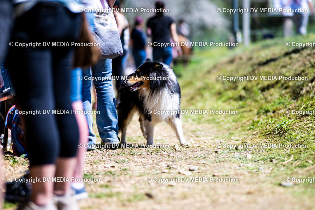 Z91_6164 | dv-media-shop - Realisiert mit Pictrs.com