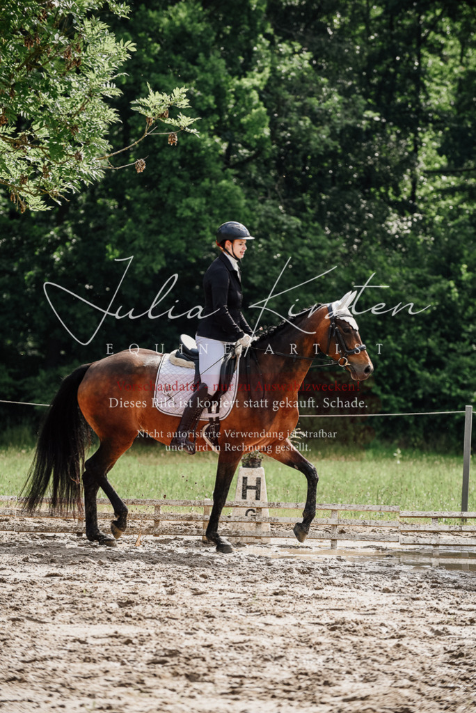 DSC_9819 | Pferde- und Turnierfotografie in Westsachsen. Pferdeportraits, Auftragszeichnungen und intuitive Kunst.