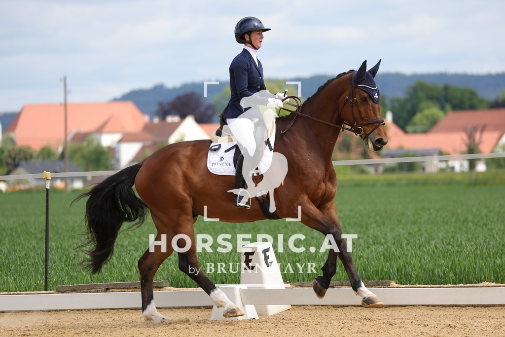 0P6A2669 | Willkommen bei Brunnmayr - Design & Fotografie – Ihrem Spezialisten für Reitturniere und Pferdeveranstaltungen in Oberösterreich, Salzburg und Bayern! Seit über 17 Jahren sind wir leidenschaftlich dabei.