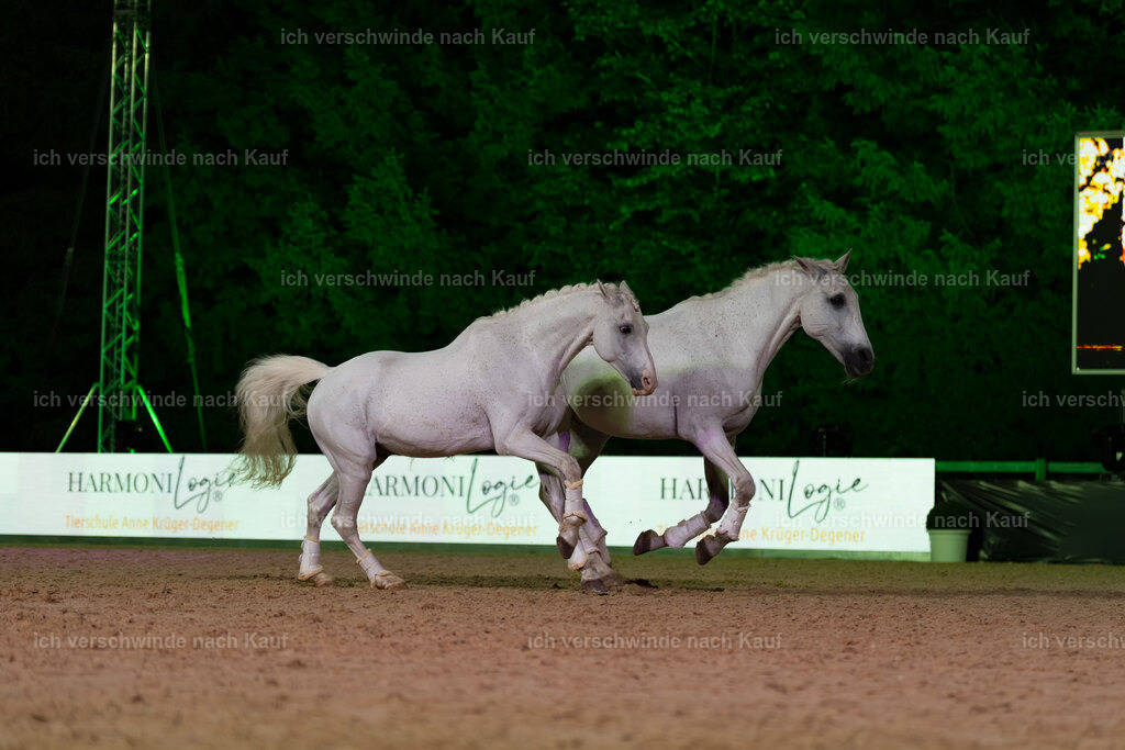 Gala-225 | working equitationturnier fotograf videograf stoibphotography marixx film working equitation deutschland reitsport turnierfotografie eventfotografie equestrian events