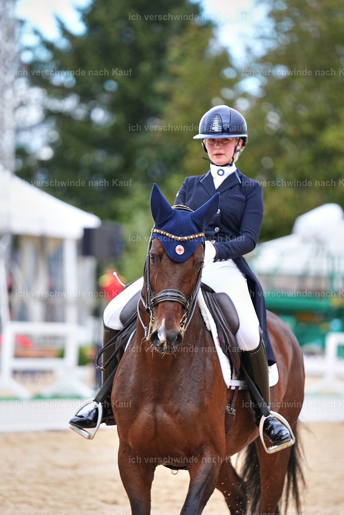 6-196-AMATUER-DRESSUR S_  -Marixx-3720 | working equitationturnier fotograf videograf stoibphotography marixx film working equitation deutschland reitsport turnierfotografie eventfotografie equestrian events