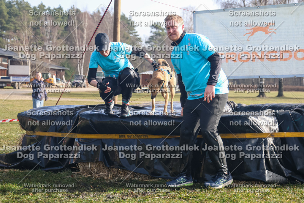 Dog Paparazzi - Strongdog North Mrz26-668 | Dog Paparazzi Jeanette Grottendiek Fotografie & Videografie - Realisiert mit Pictrs.com