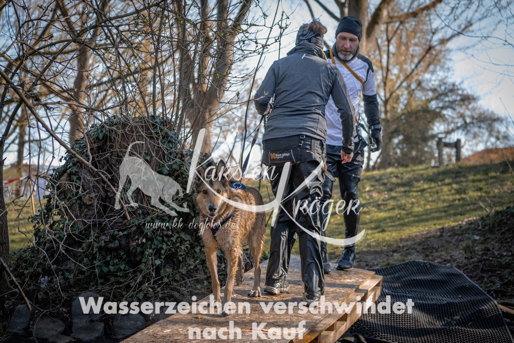 0815_ZZ90306 | kk-dogfotos