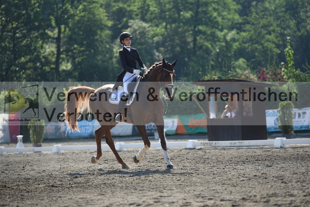 DSC_2765 | equestrian-live-com