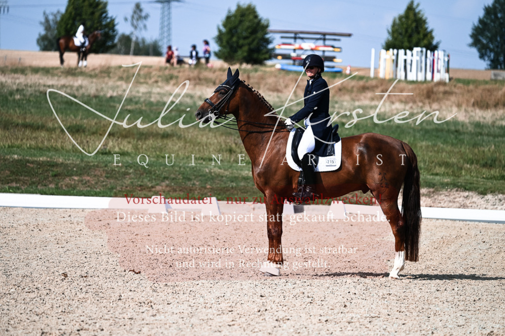 DSC_3413 | Pferde- und Turnierfotografie in Westsachsen. Pferdeportraits, Auftragszeichnungen und intuitive Kunst.