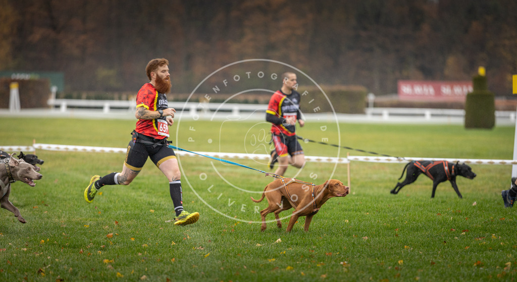 CaniXpix_DV3A9503 | Hundefotografie, Tierfotograf, Pfotenfotografie, Fotoshooting Hund, Hunde Portrait, Hundesport, Hundeportraits, Heideshooting, Hunde, Sportfotograf, Hundefotograf, Turnierhundsport, THS,  - Realisiert mit Pictrs.com