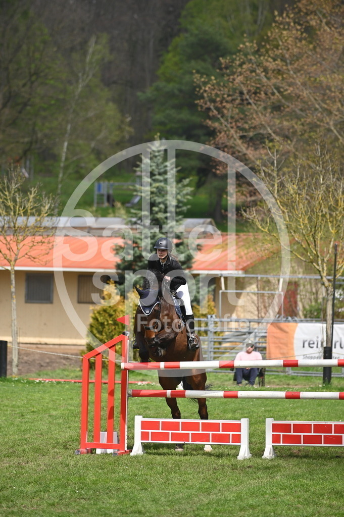 DSC_3877 | sattelsport - Realisiert mit Pictrs.com