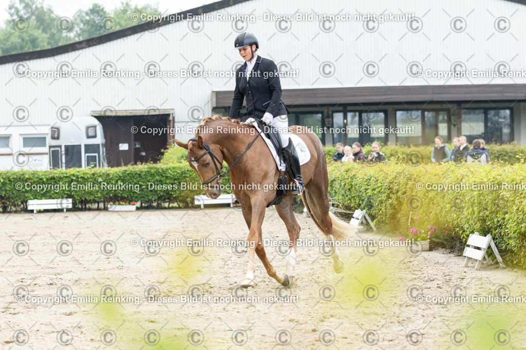 CL5A3082 | Emilia Reinking Fotografie - Realisiert mit Pictrs.com