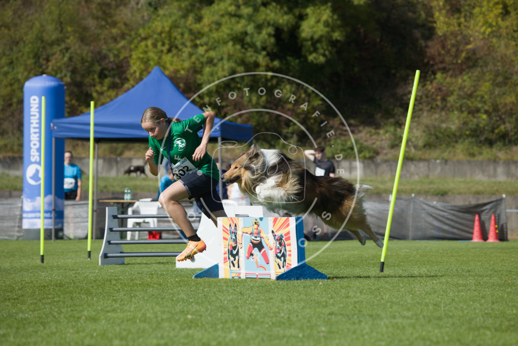 0L8A7321 | Hundefotografie, Tierfotograf, Pfotenfotografie, Fotoshooting Hund, Hunde Portrait, Hundesport, Hundeportraits, Heideshooting, Hunde, Sportfotograf, Hundefotograf, Turnierhundsport, THS,  - Realisiert mit Pictrs.com