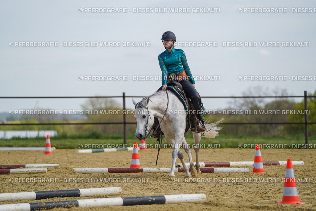 DSC04645 | Pferdegrafie