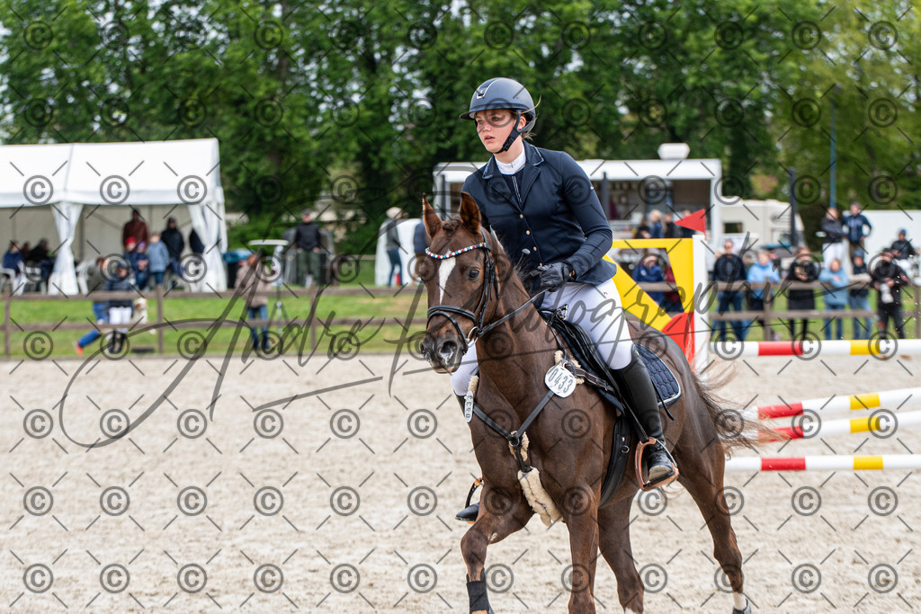 KPT_8204 | andre_photographic