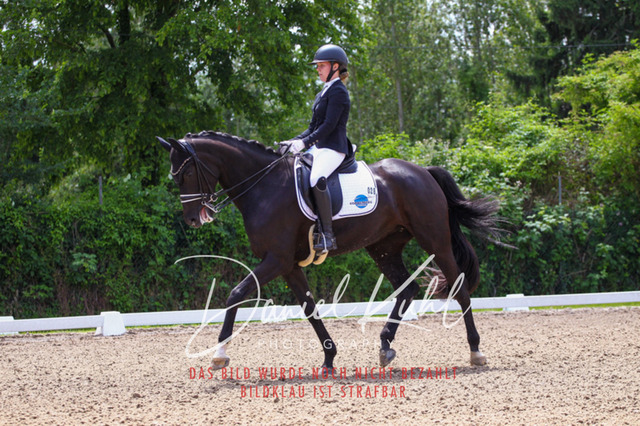 DKP40971 | Turnierfotos kaufen im Webshop von Daniel Kuhl Photography – entdecke professionelle Reitsportfotos aus Turnieren & Events. Hochwertige Turnierbilder online bestellen & sichern. Jetzt Fotos von Reitsportturnieren kaufen!