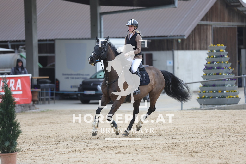 0P6A4294 | Willkommen bei Brunnmayr - Design & Fotografie – Ihrem Spezialisten für Reitturniere und Pferdeveranstaltungen in Oberösterreich, Salzburg und Bayern! Seit über 17 Jahren sind wir leidenschaftlich dabei.