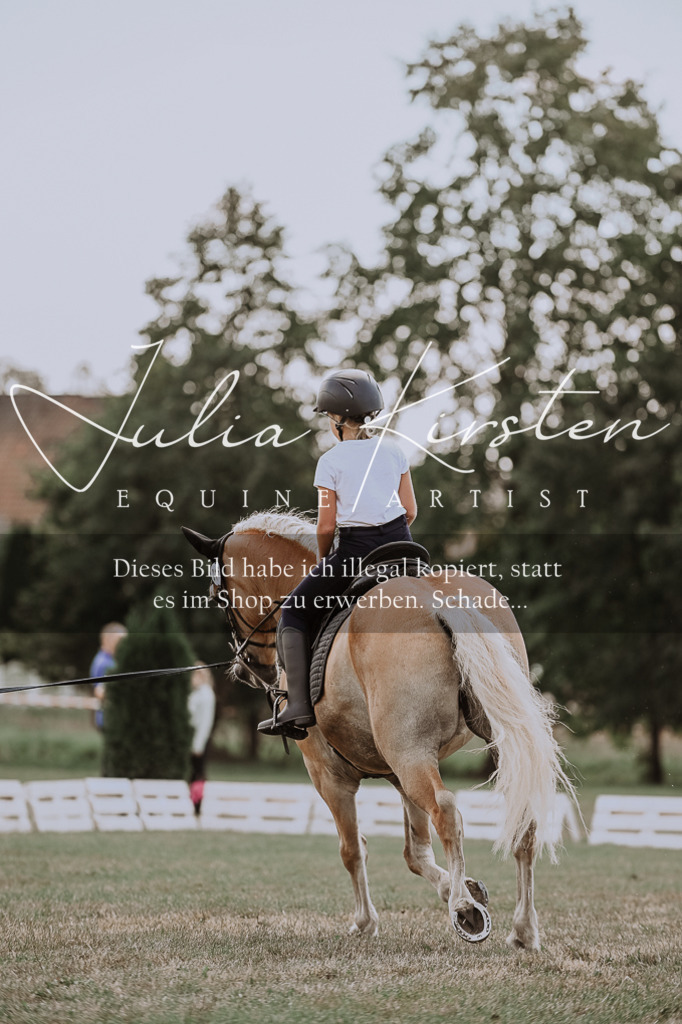 DSC_7670 | Pferde- und Turnierfotografie in Westsachsen. Pferdeportraits, Auftragszeichnungen und intuitive Kunst.