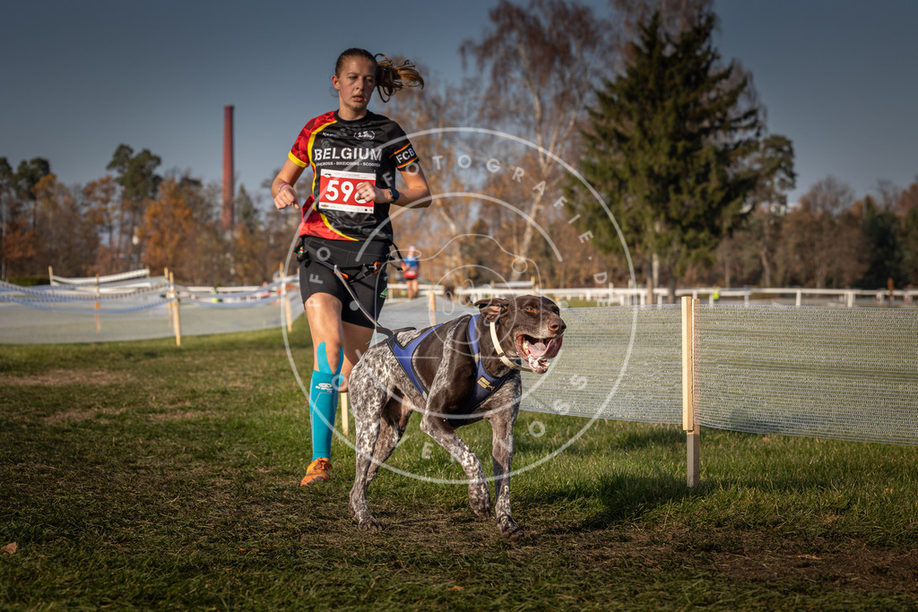CaniXpix_0L8A9946 | Hundefotografie, Tierfotograf, Pfotenfotografie, Fotoshooting Hund, Hunde Portrait, Hundesport, Hundeportraits, Heideshooting, Hunde, Sportfotograf, Hundefotograf, Turnierhundsport, THS,  - Realisiert mit Pictrs.com