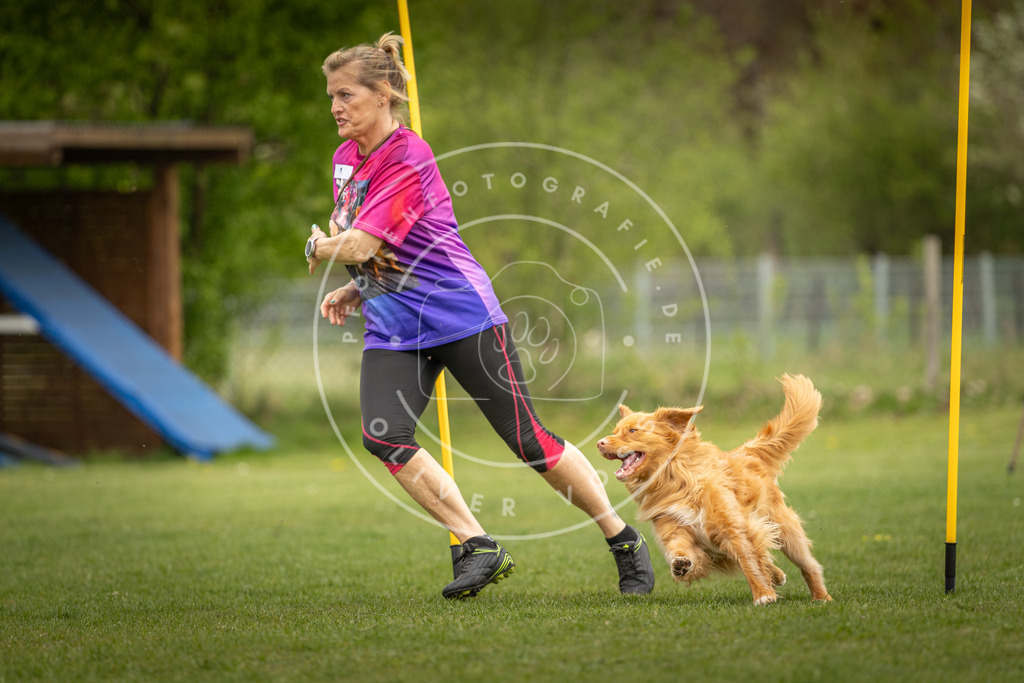 Pfotenfotografie_DV3A7586 | Hundefotografie, Tierfotograf, Pfotenfotografie, Fotoshooting Hund, Hunde Portrait, Hundesport, Hundeportraits, Heideshooting, Hunde, Sportfotograf, Hundefotograf, Turnierhundsport, THS,  - Realisiert mit Pictrs.com