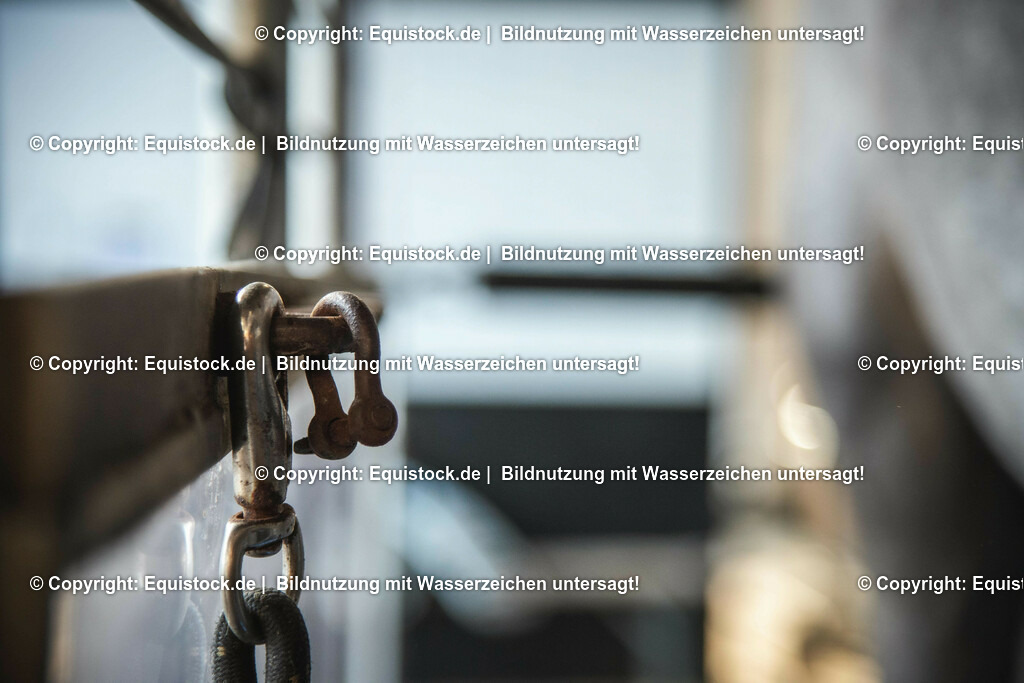 20200118_Laufband_0014 | Foto: Thomas Hartig