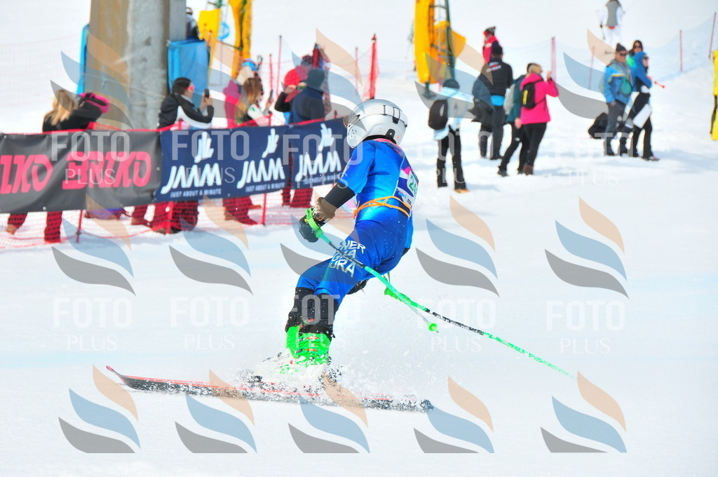 DSC_2276 | holidayphoto