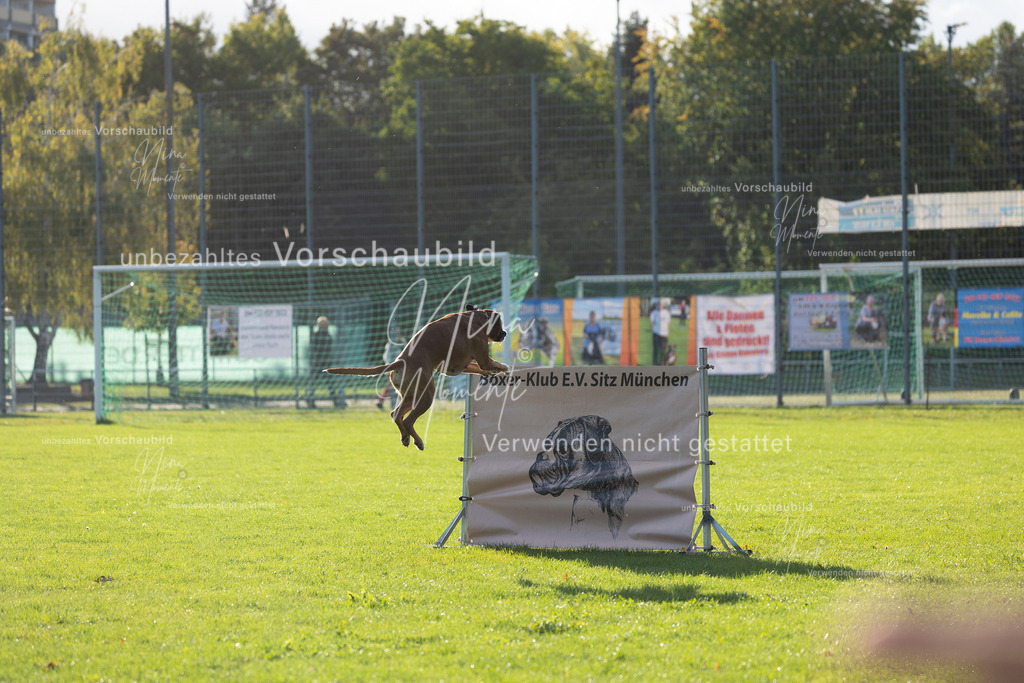 _16A4790 | Einzigartige Fotos von Hunden & Menschen –Actionfotos, Portraits, Vereinsaufnahmen & Paarshootings – authentisch, lebendig & mit Herz.
