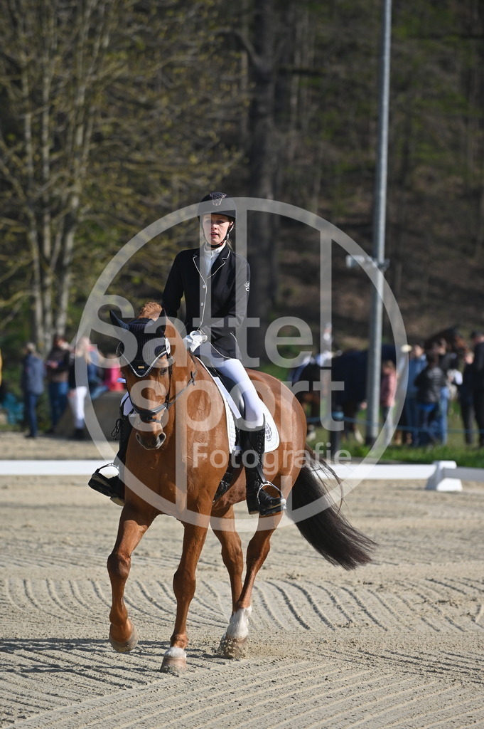 DSC_9904 | sattelsport - Realisiert mit Pictrs.com