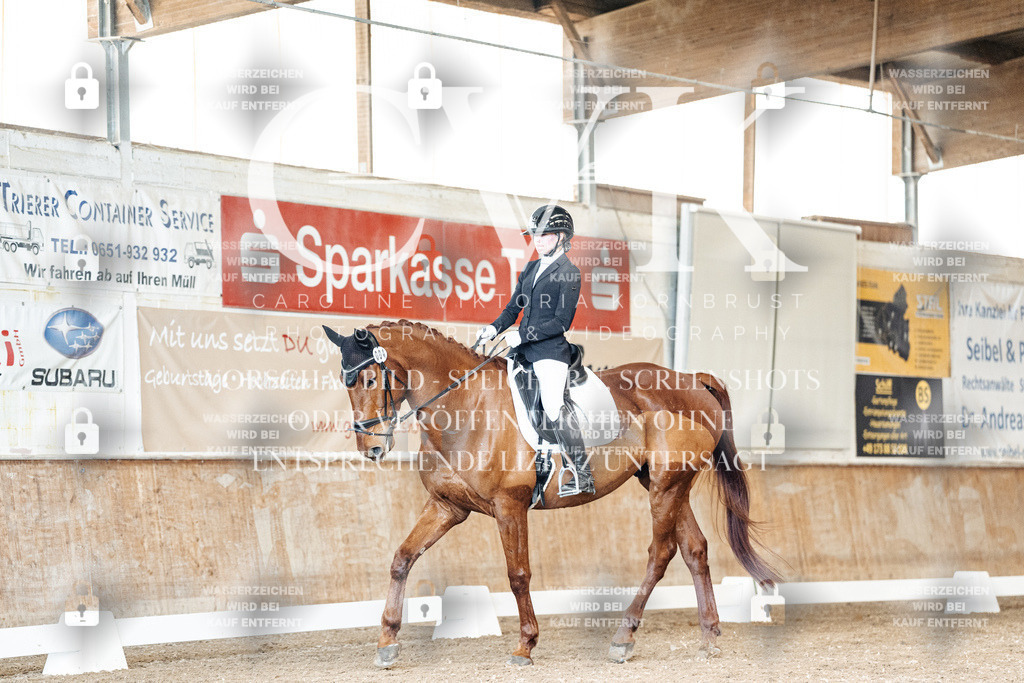 CK901044 | Turnierfotografie Pferdefotografie Trier Rheinland-Pfalz Pferdesport Reitsport Tierfotografie Sportfotografie Pferdevideo Pferdevideografie Equestrianvideography equestrianphotography  - Realisiert mit Pictrs.com