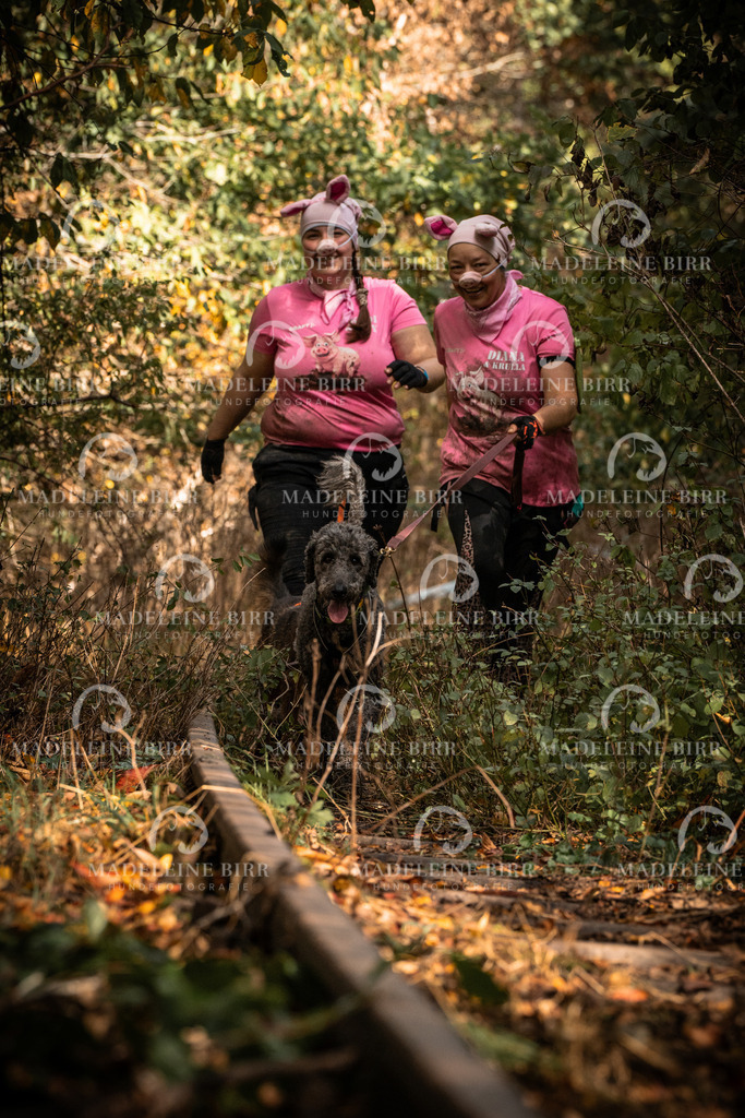 madeleinebirr.fotografie.2026.cc.hunsrueck.12-13Uhr.127 | hundefotografie-birr