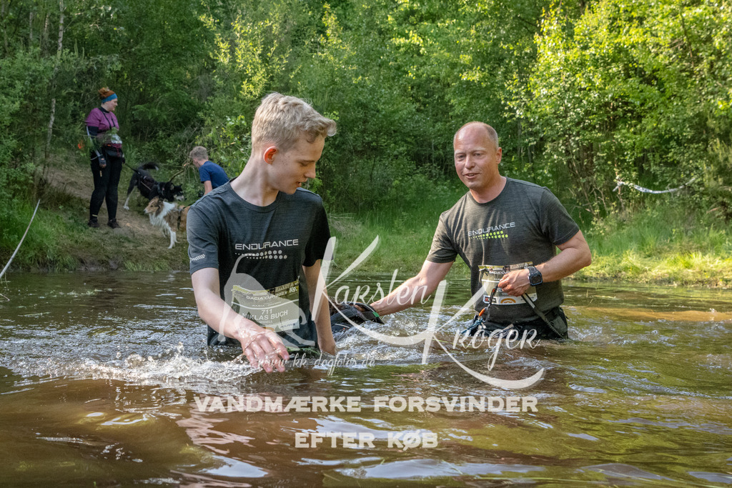 1746DKK992624 | kk-dogfotos