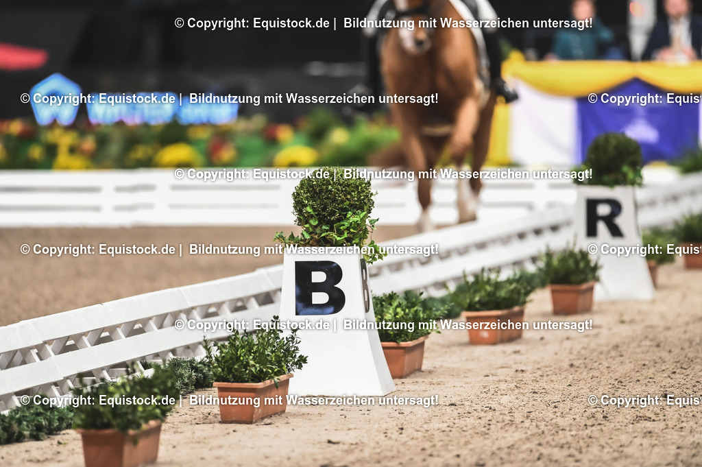 20231117_Impressionen_0148_TOMsPiC | Foto: Thomas Hartig