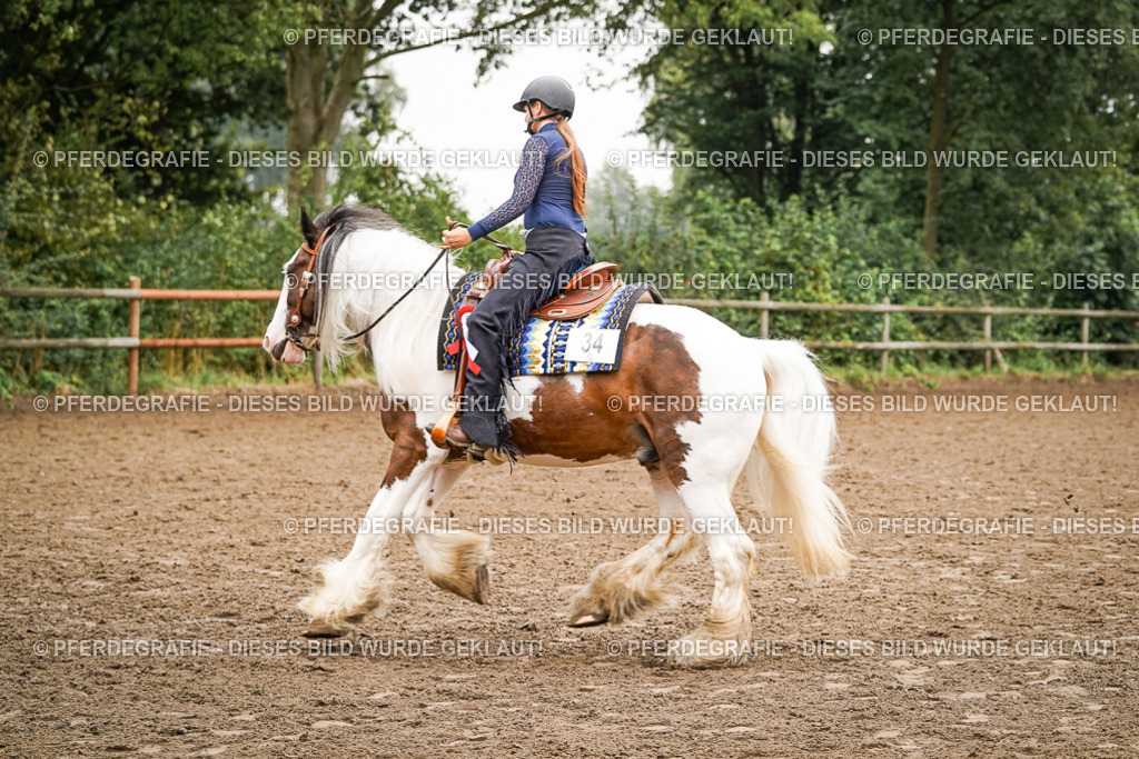 DSC02130 | Pferdegrafie