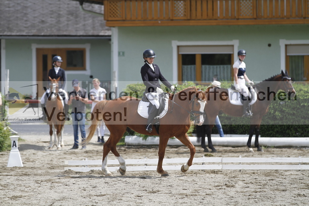 _MG_8686 | equestrian-live-com