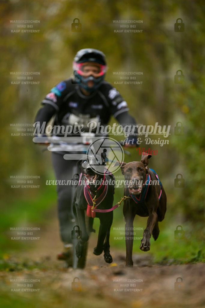 MompixPhotography_20TSB_E6_DS2-13 | PayLife