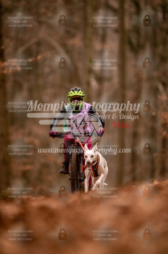 AKM_ST_2023_Son_Bike-135 | PayLife
