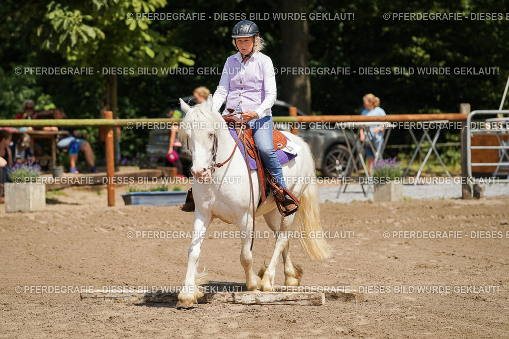 DSC07203 | Pferdegrafie