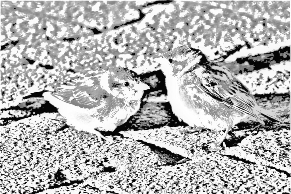 P7410271 (20) | Annaeherungen - Realisiert mit Pictrs.com