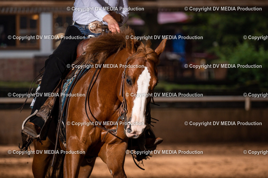 Erbach Tag 2-1002 | dv-media-shop - Realisiert mit Pictrs.com