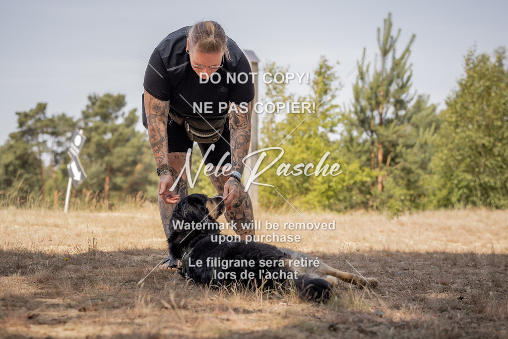 nelerasche_soDD2_271 | nelerasche