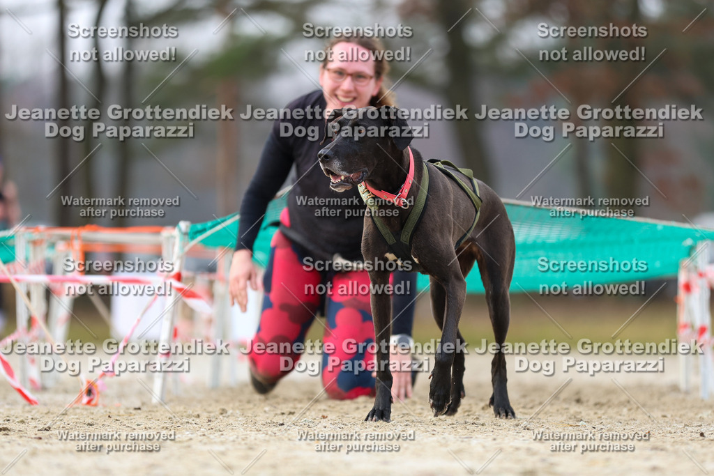 Dog Paparazzi - Strongdog North Mrz26-4093 | Dog Paparazzi Jeanette Grottendiek Fotografie & Videografie - Realisiert mit Pictrs.com