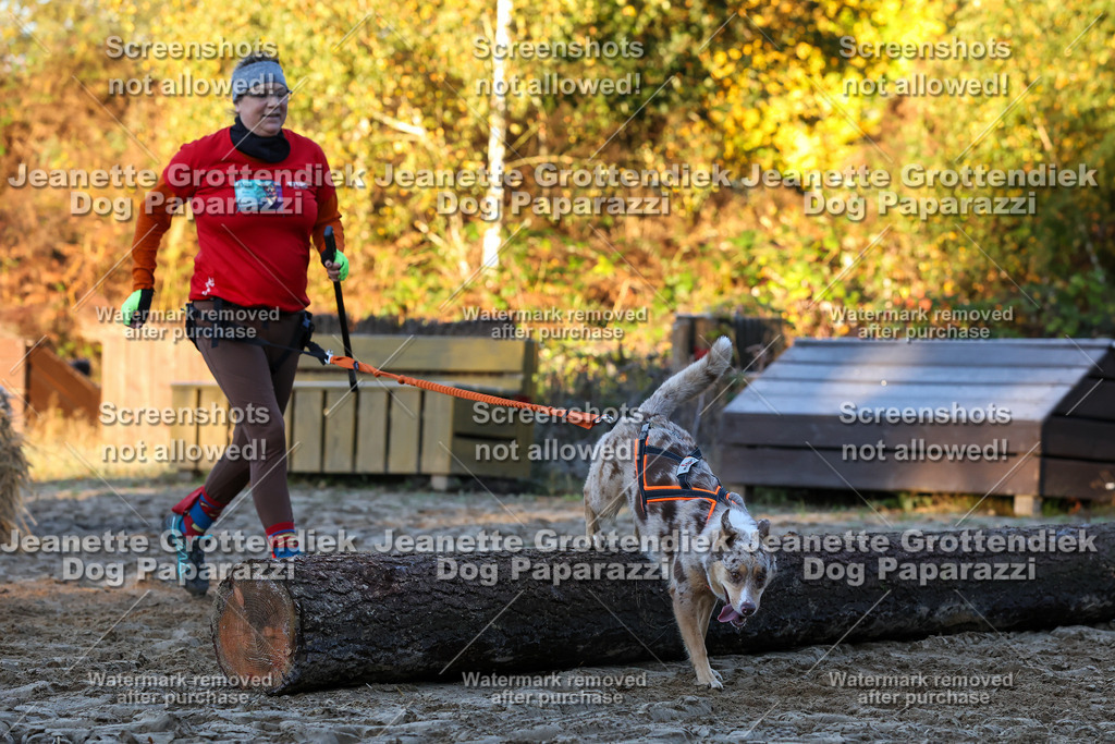 Dog Paparazzi - Strongdog 10-25-563 | Dog Paparazzi Jeanette Grottendiek Fotografie & Videografie - Realisiert mit Pictrs.com